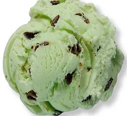 MINT CHOCOLATE CHIP ICE CREAM